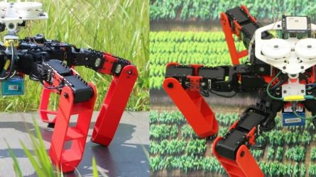 Der sechsbeinige AntBot hat oben zwei „Augen“ für polarisiertes Sonnenlicht. Ein weiterer Sensor an der Unterseite erfasst den vorbeiziehenden Untergrund. © Julien DUPEYROUX / ISM / CNRS Photothèque